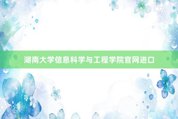 湖南大学信息科学与工程学院官网进口