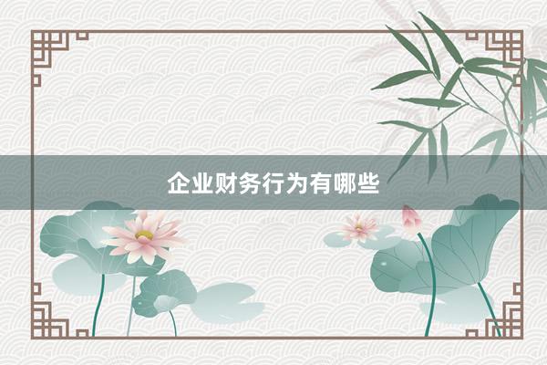 企业财务行为有哪些